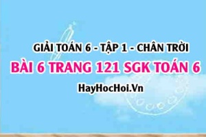 Giải bài 6 trang 121 Toán 6 Tập 1 SGK Chân trời sáng tạo